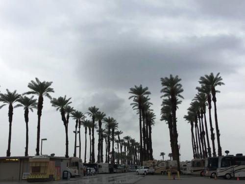 Indio2018-33